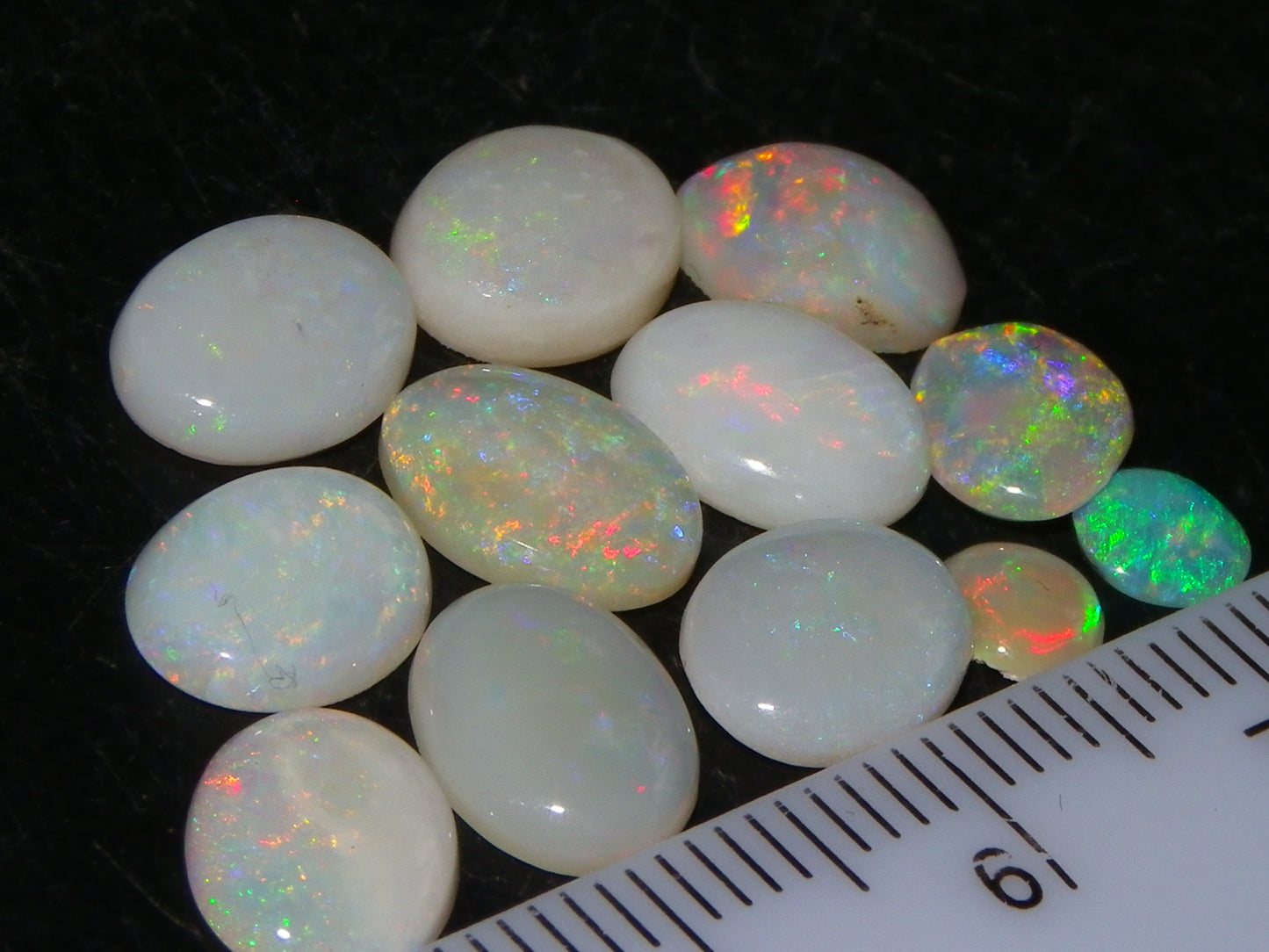 12 Cut/Polished Coober Pedy Opal Cabs 9.51cts Multicolour Fires White/Milky Base