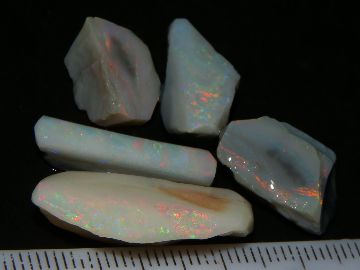 Nice Lightning Ridge Opal Grey/Light Rubs 41cts Pink/Green/Blue Fires Australia