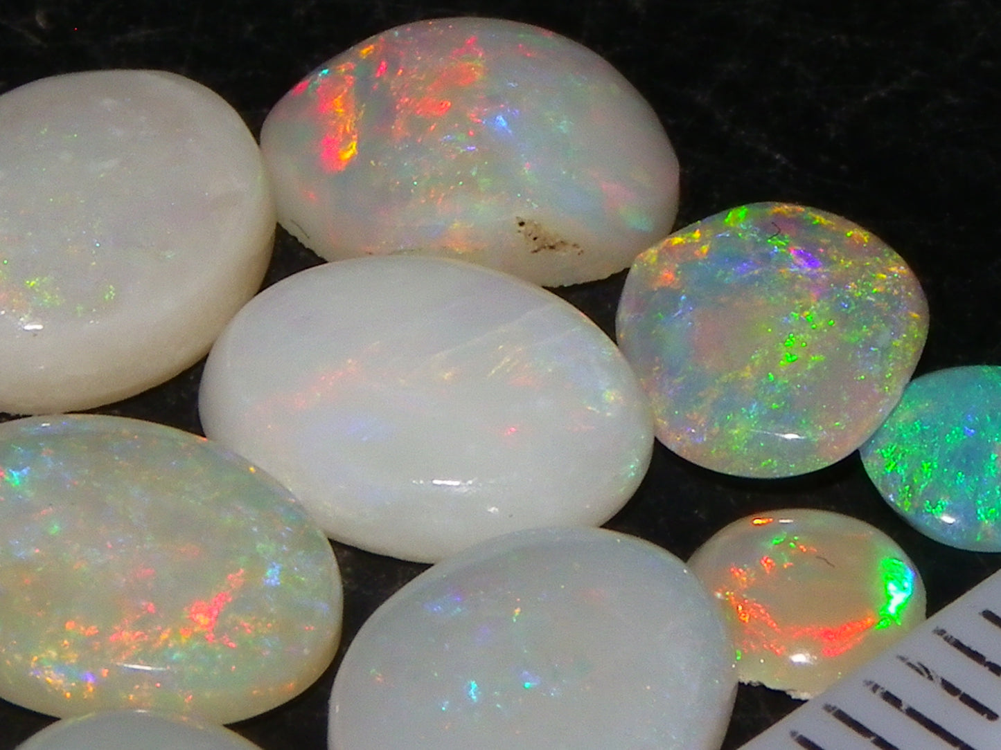 12 Cut/Polished Coober Pedy Opal Cabs 9.51cts Multicolour Fires White/Milky Base