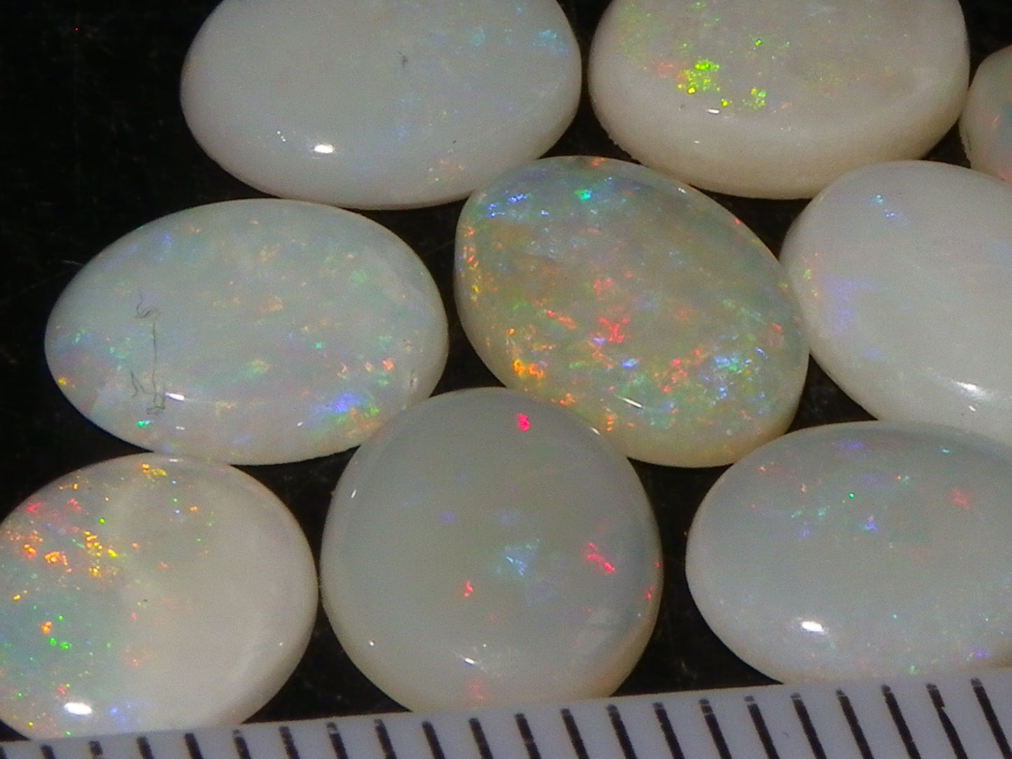 12 Cut/Polished Coober Pedy Opal Cabs 9.51cts Multicolour Fires White/Milky Base