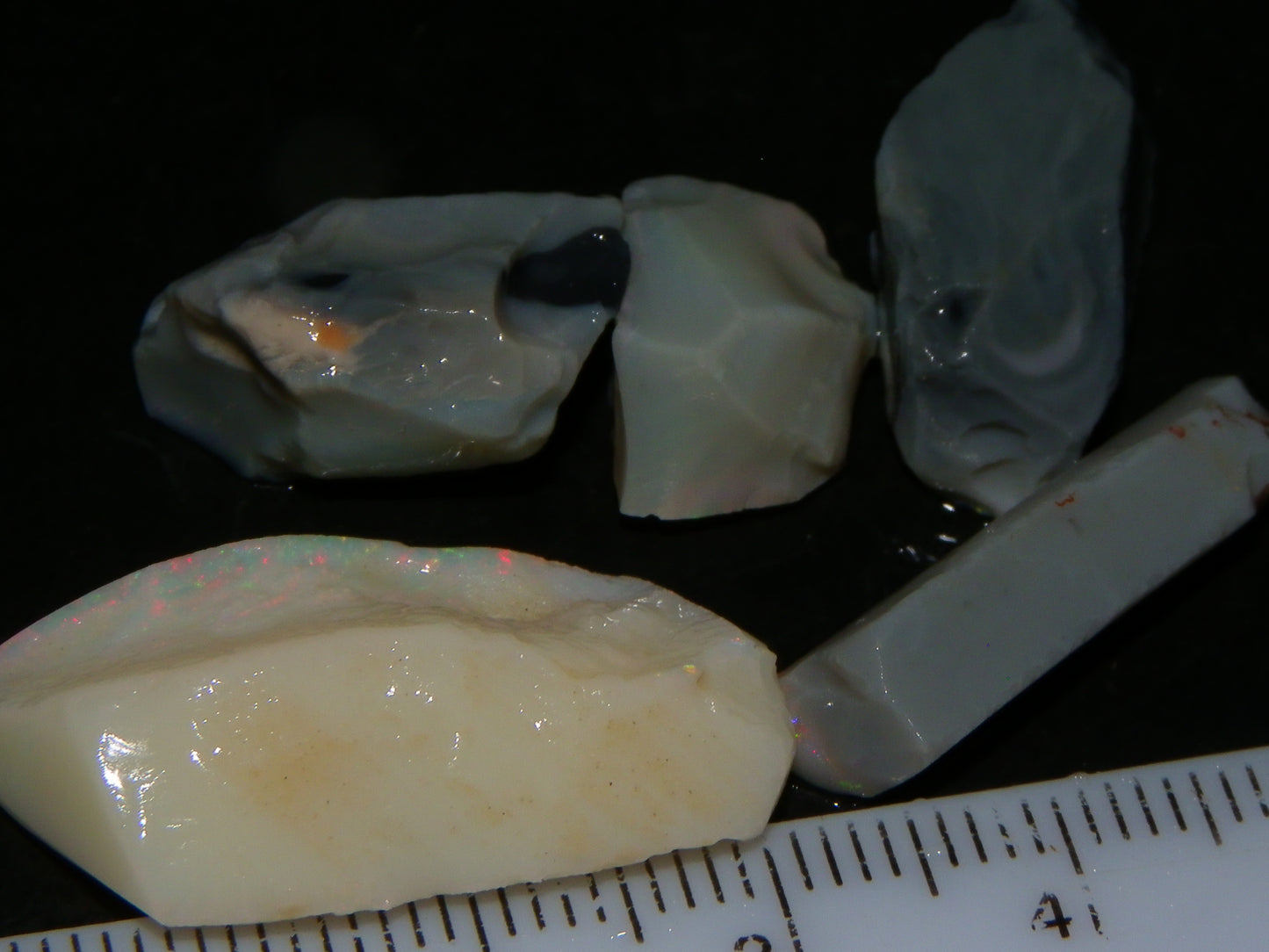 Nice Lightning Ridge Opal Grey/Light Rubs 41cts Pink/Green/Blue Fires Australia