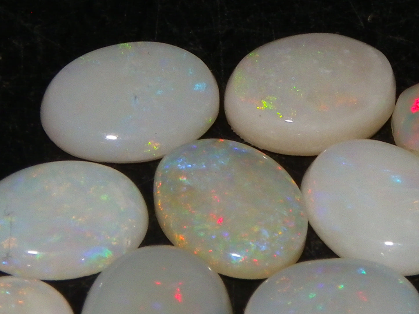 12 Cut/Polished Coober Pedy Opal Cabs 9.51cts Multicolour Fires White/Milky Base