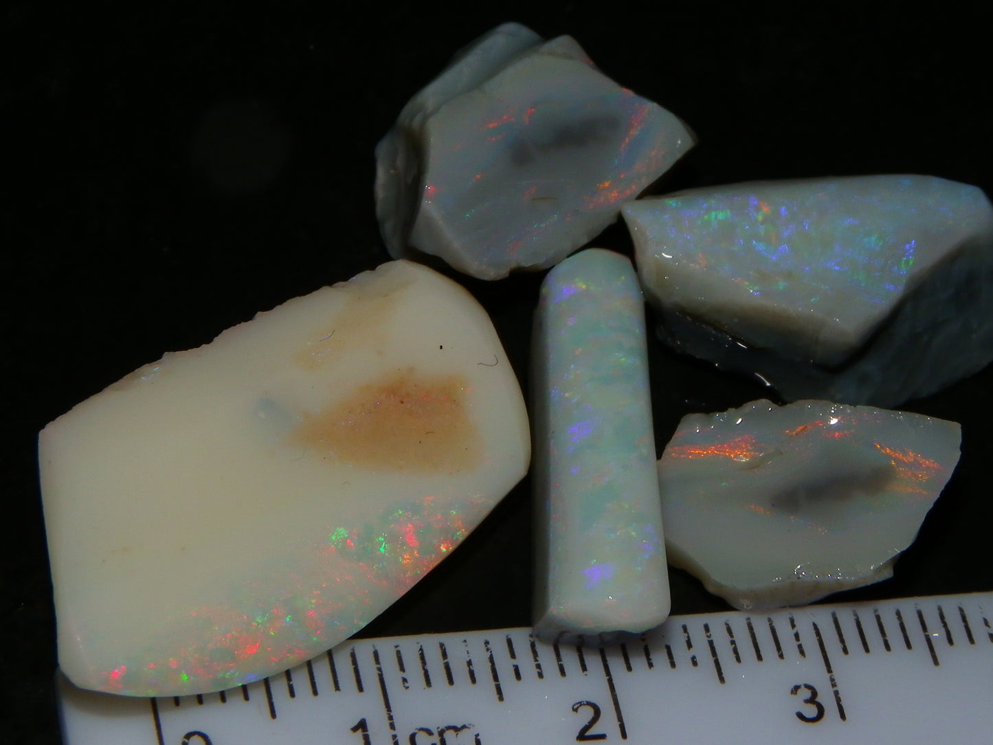 Nice Lightning Ridge Opal Grey/Light Rubs 41cts Pink/Green/Blue Fires Australia