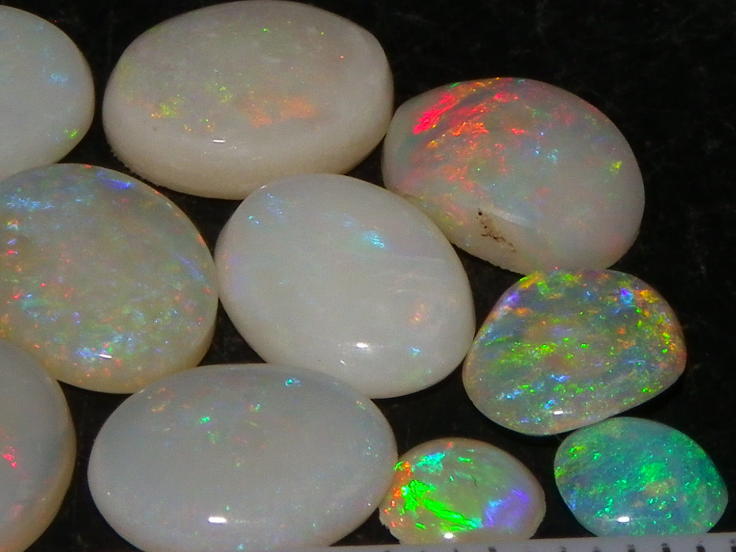 12 Cut/Polished Coober Pedy Opal Cabs 9.51cts Multicolour Fires White/Milky Base