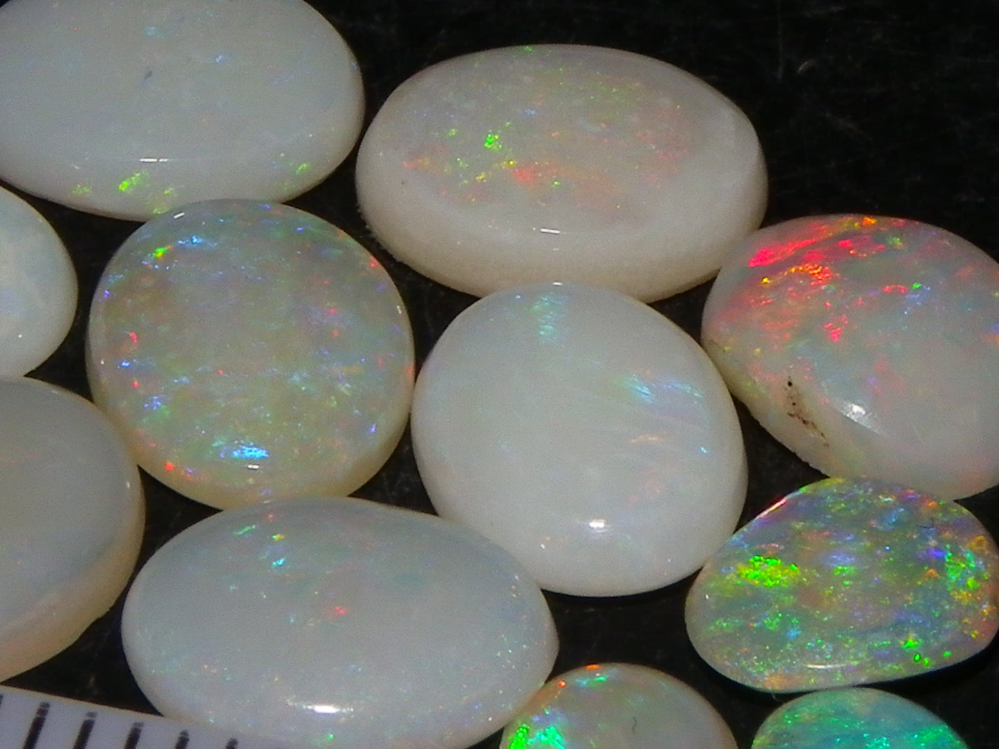 12 Cut/Polished Coober Pedy Opal Cabs 9.51cts Multicolour Fires White/Milky Base