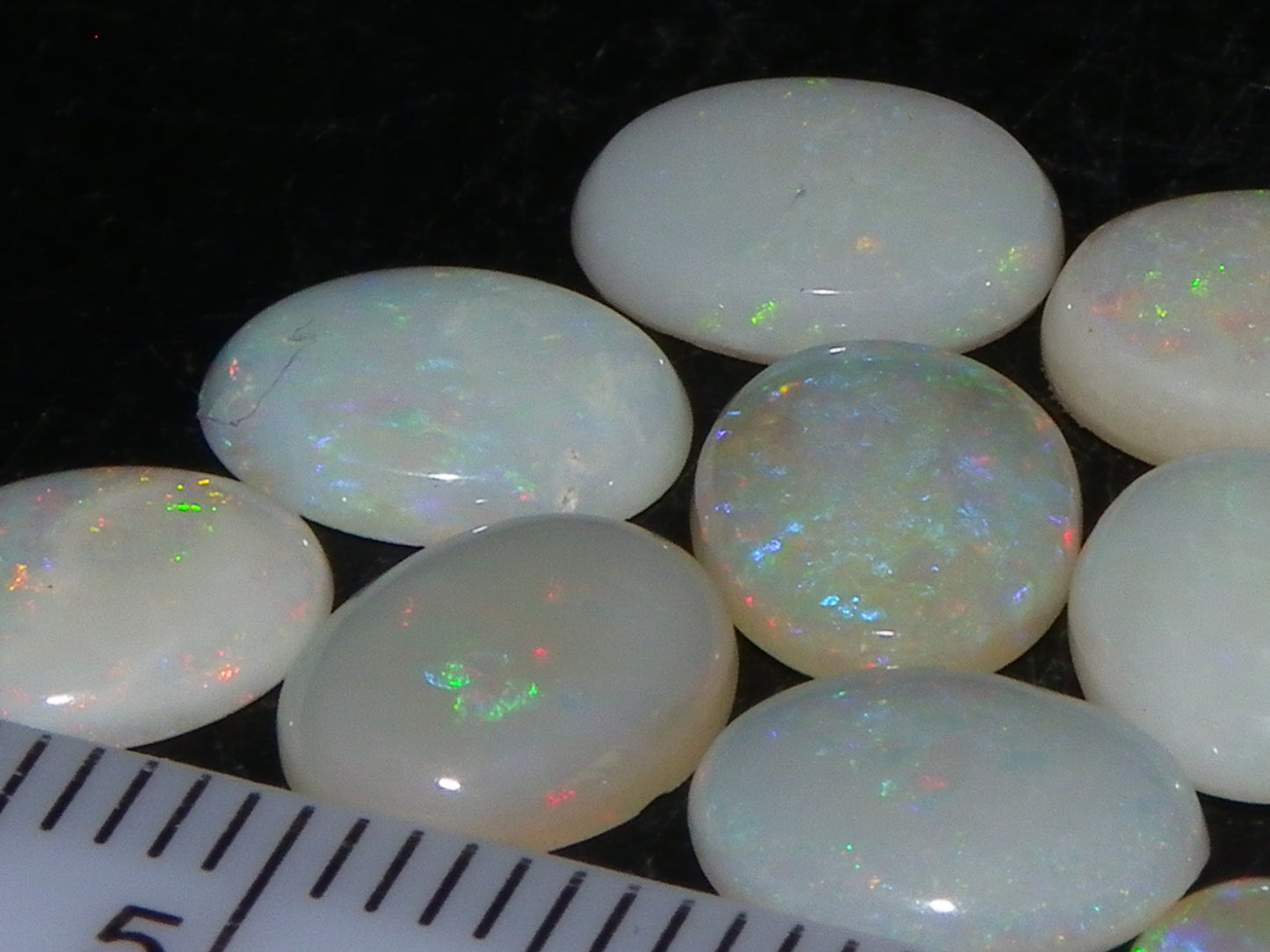 12 Cut/Polished Coober Pedy Opal Cabs 9.51cts Multicolour Fires White/Milky Base