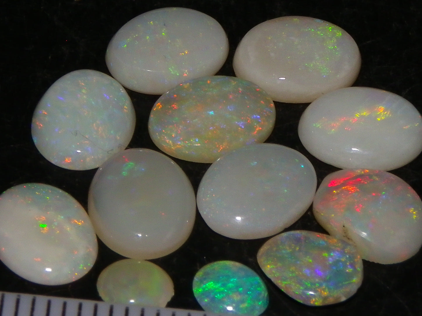 12 Cut/Polished Coober Pedy Opal Cabs 9.51cts Multicolour Fires White/Milky Base