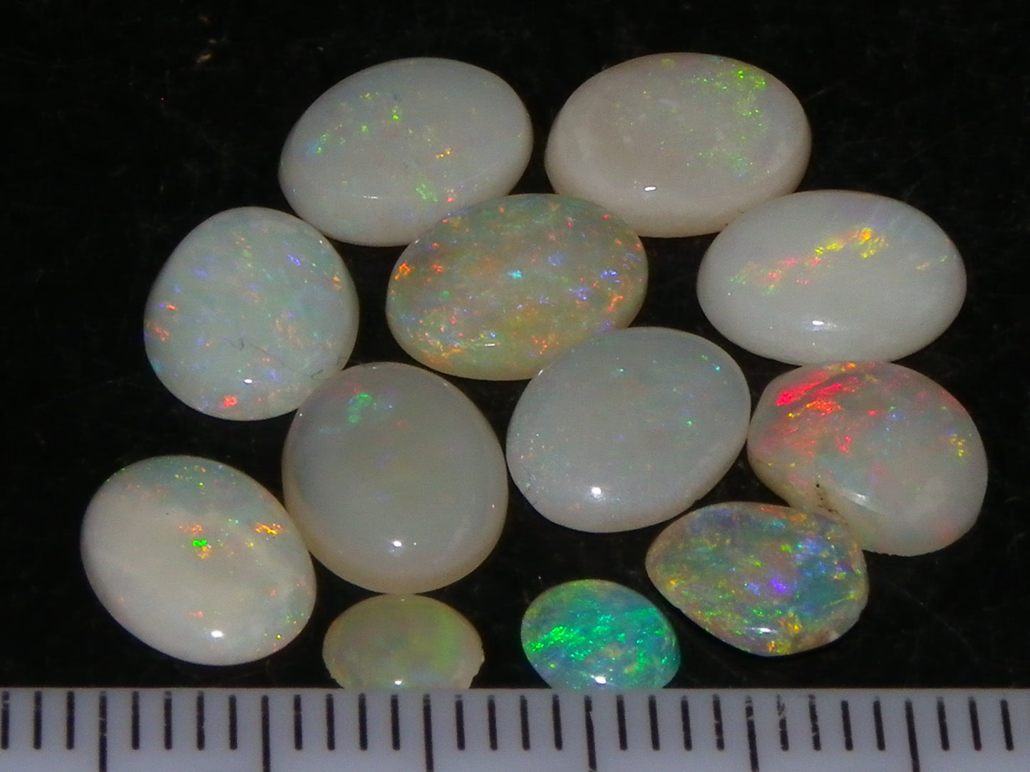 12 Cut/Polished Coober Pedy Opal Cabs 9.51cts Multicolour Fires White/Milky Base