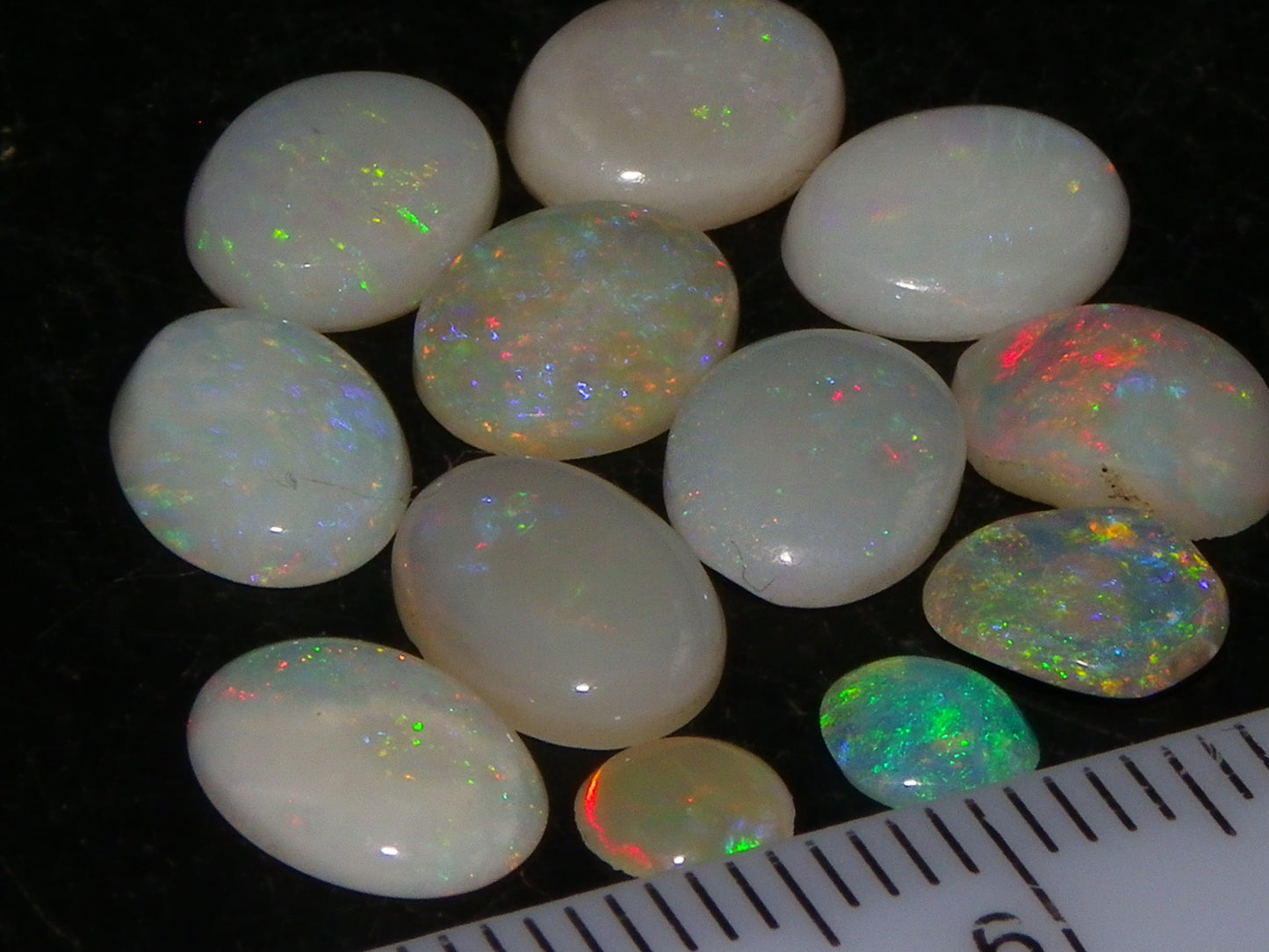 12 Cut/Polished Coober Pedy Opal Cabs 9.51cts Multicolour Fires White/Milky Base