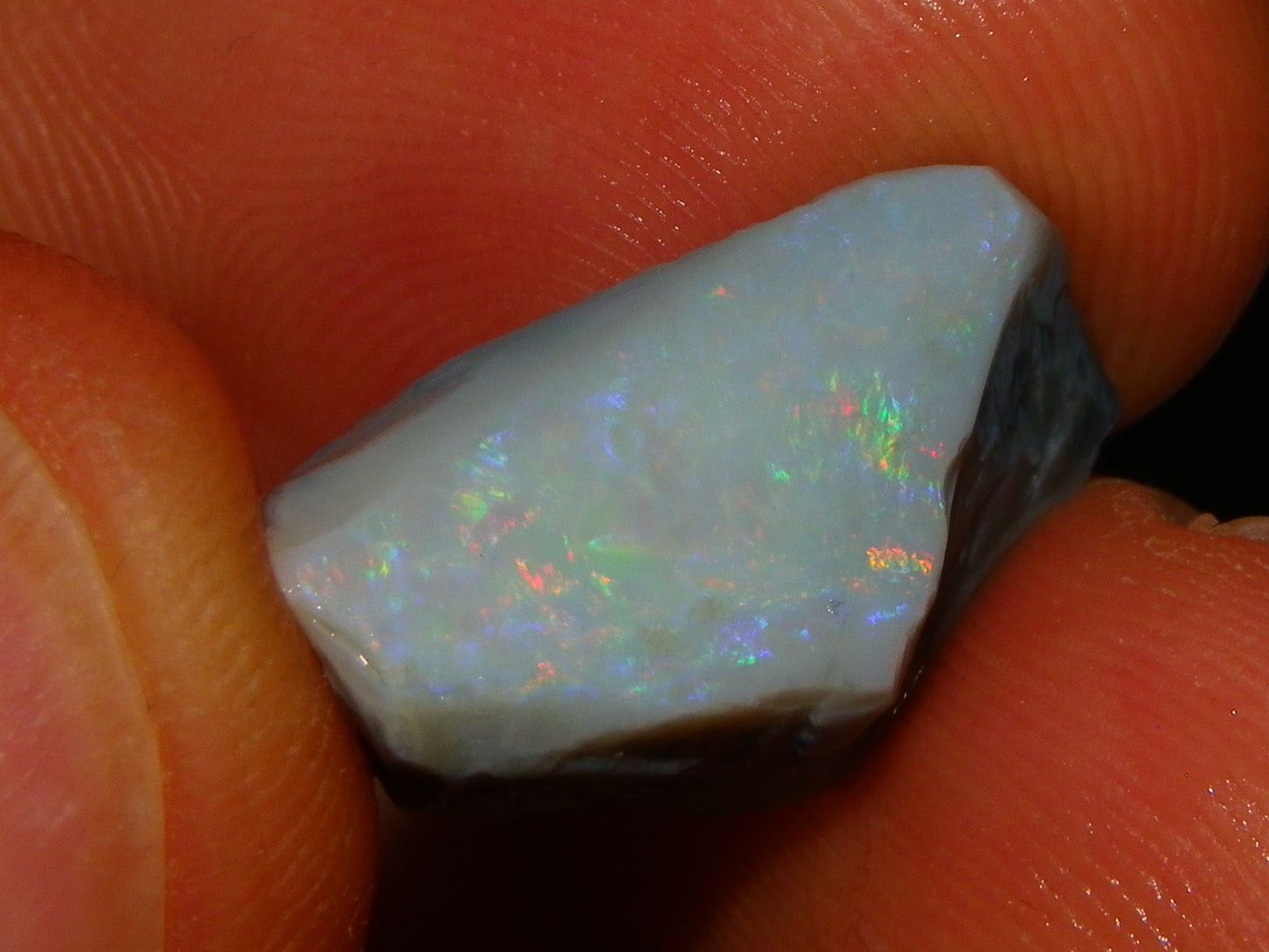 Nice Lightning Ridge Opal Grey/Light Rubs 41cts Pink/Green/Blue Fires Australia