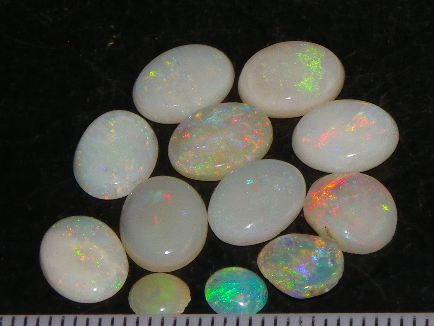 12 Cut/Polished Coober Pedy Opal Cabs 9.51cts Multicolour Fires White/Milky Base