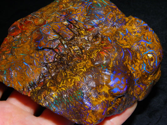 Huge, Gem Rough/Rubbed Koroit Opal Specimen 2170cts (434grams) Fires/Patterns Queensland Australia