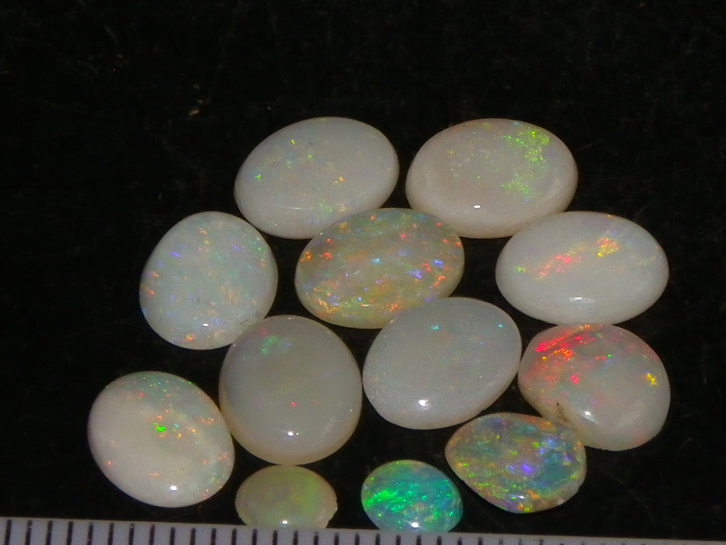 12 Cut/Polished Coober Pedy Opal Cabs 9.51cts Multicolour Fires White/Milky Base