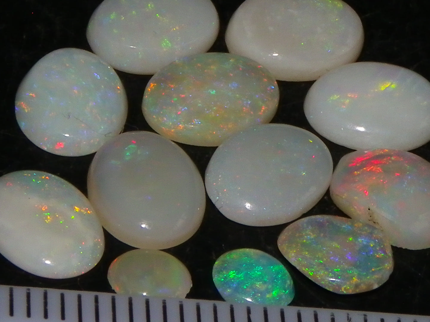 12 Cut/Polished Coober Pedy Opal Cabs 9.51cts Multicolour Fires White/Milky Base