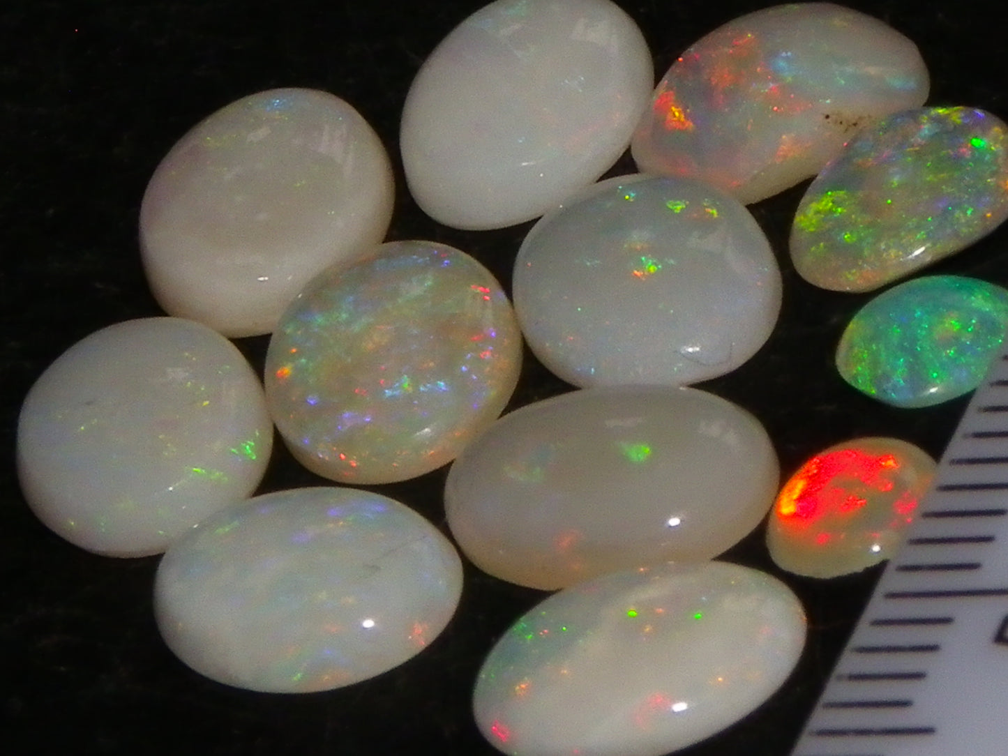 12 Cut/Polished Coober Pedy Opal Cabs 9.51cts Multicolour Fires White/Milky Base