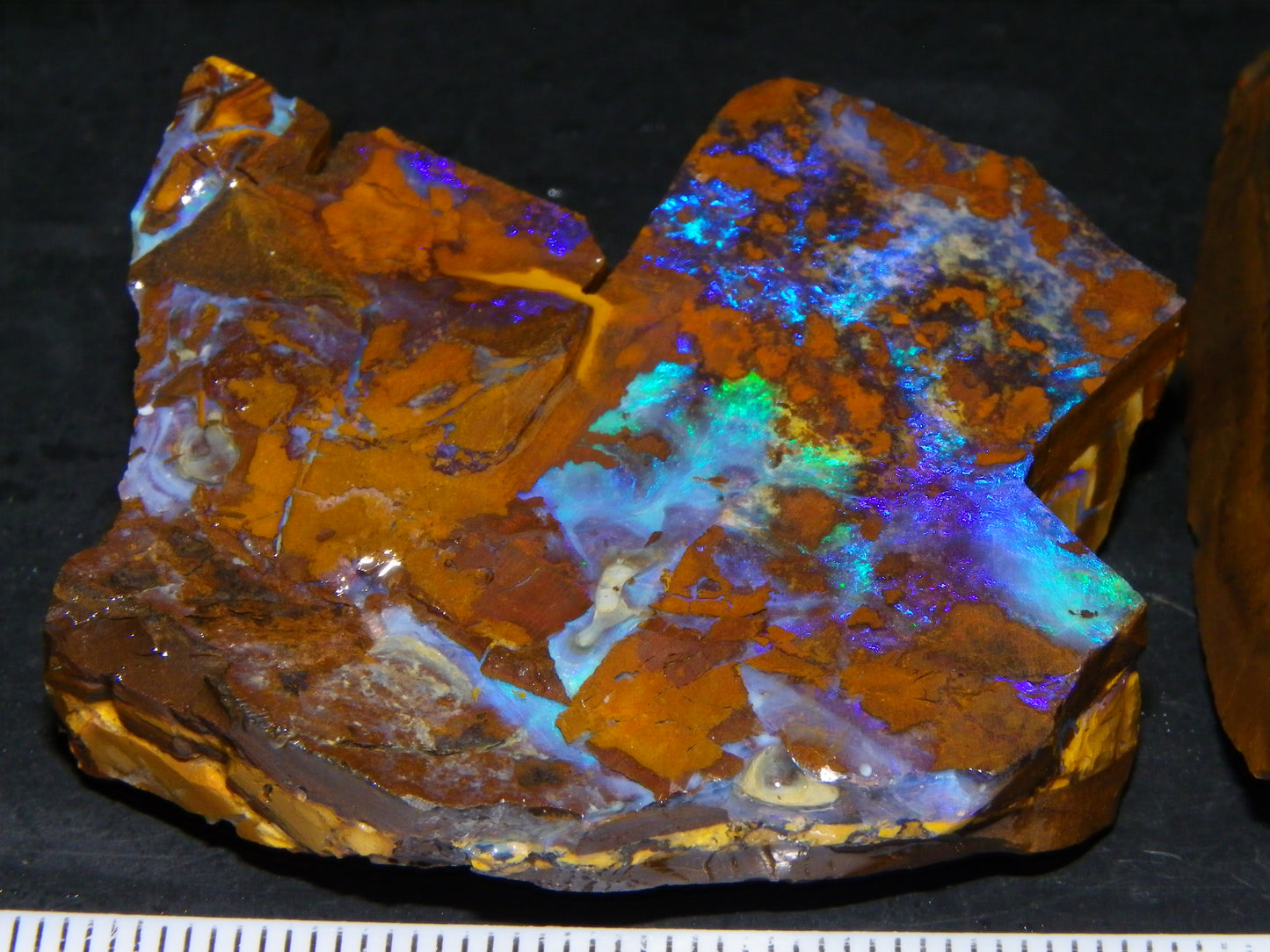 2 Nice Rough/Sliced Opals 303.8cts Queensland Australia Blue/Green Fires :)