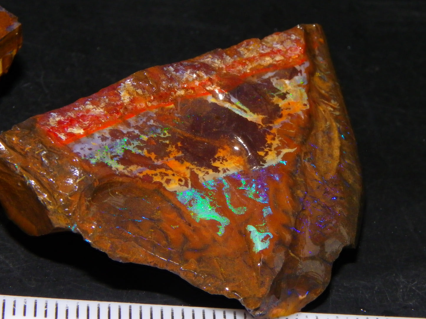 2 Nice Rough/Sliced Opals 303.8cts Queensland Australia Blue/Green Fires :)