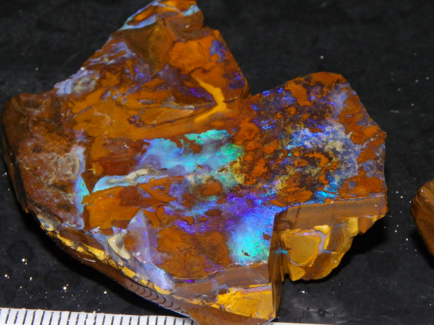 2 Nice Rough/Sliced Opals 303.8cts Queensland Australia Blue/Green Fires :)