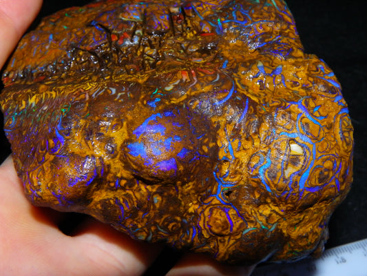 Huge, Gem Rough/Rubbed Koroit Opal Specimen 2170cts (434grams) Fires/Patterns Queensland Australia