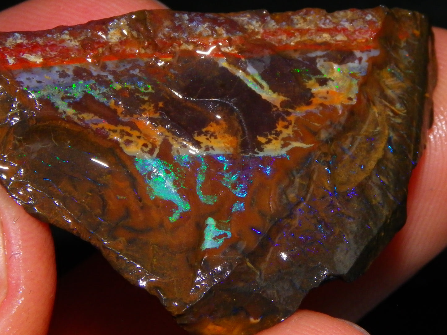 2 Nice Rough/Sliced Opals 303.8cts Queensland Australia Blue/Green Fires :)