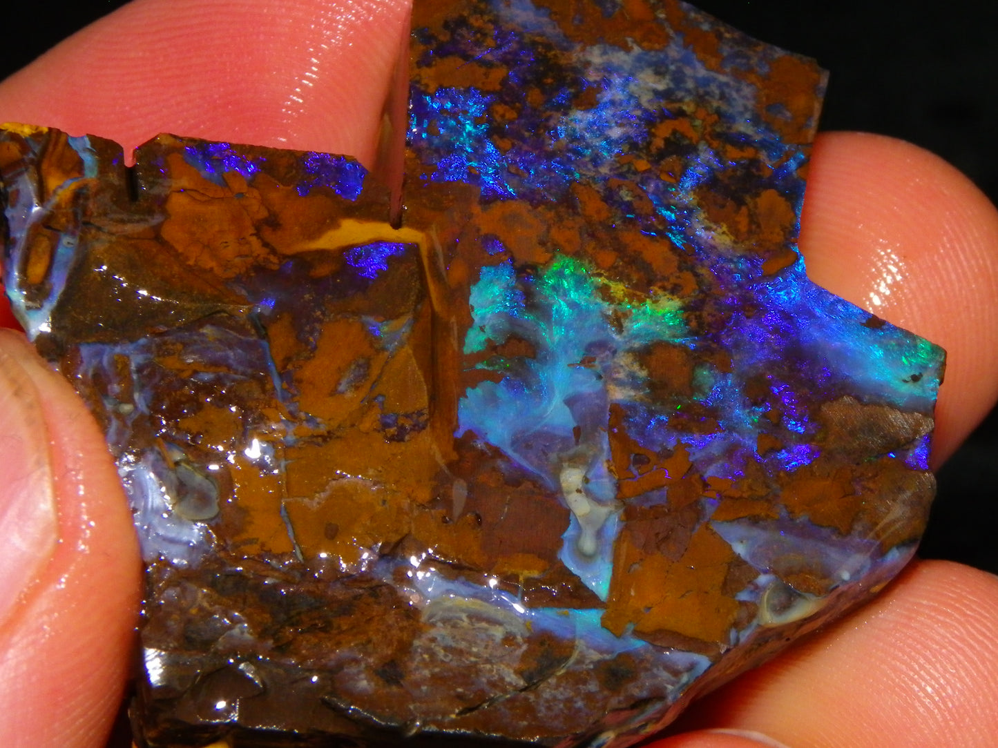 2 Nice Rough/Sliced Opals 303.8cts Queensland Australia Blue/Green Fires :)