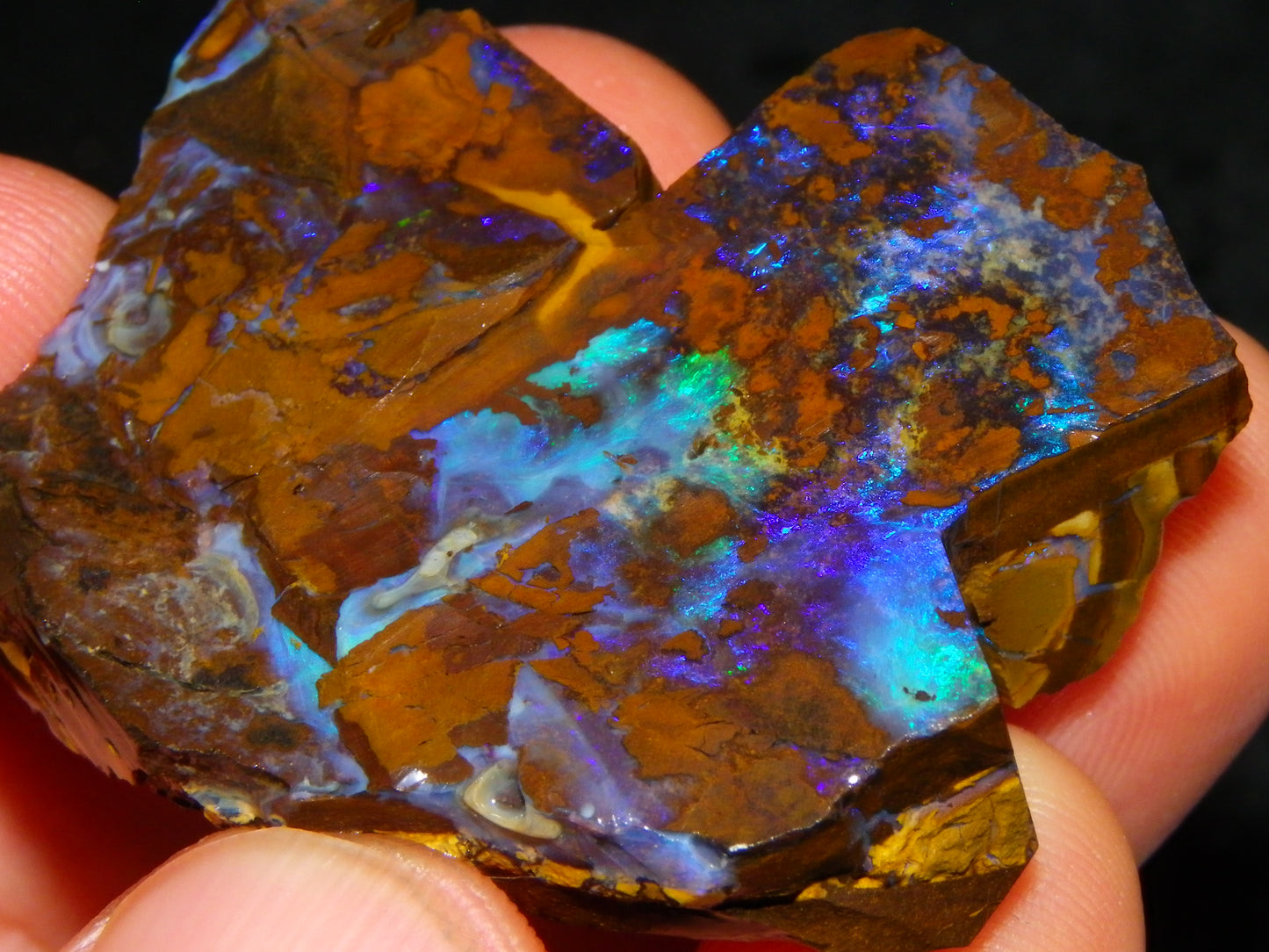 2 Nice Rough/Sliced Opals 303.8cts Queensland Australia Blue/Green Fires :)