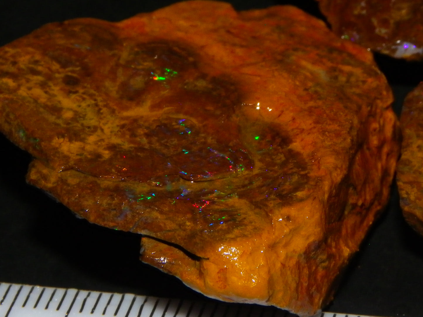 Nice Queensland Matrix Opal Parcel 310cts red/Green/Blue Fires Ironstones