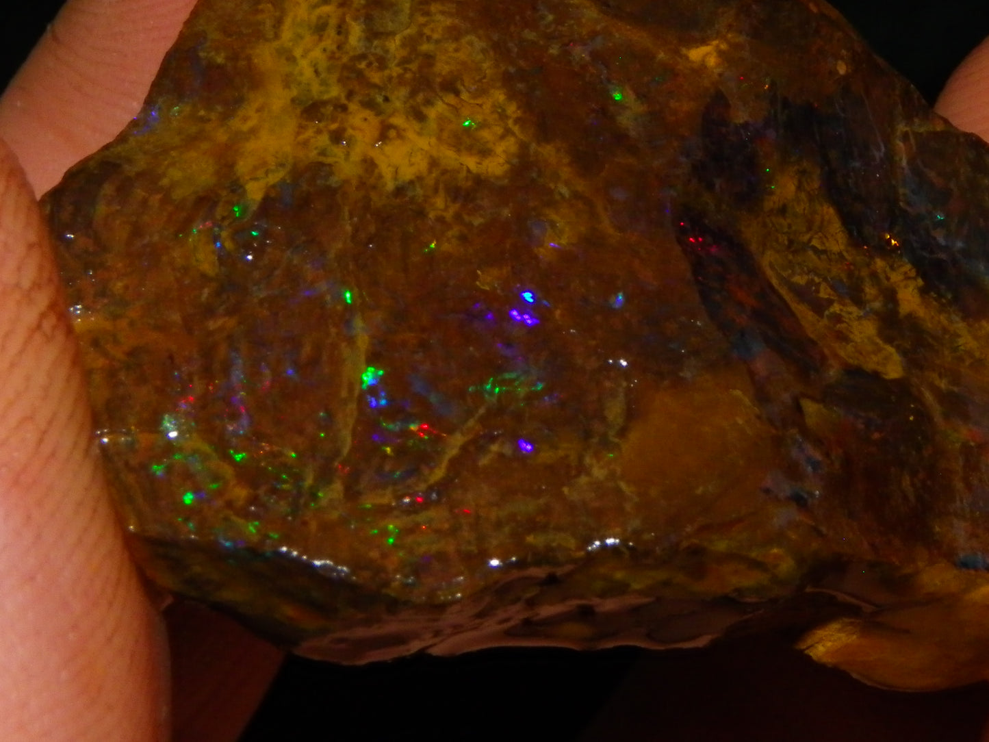 Nice Queensland Matrix Opal Parcel 310cts red/Green/Blue Fires Ironstones