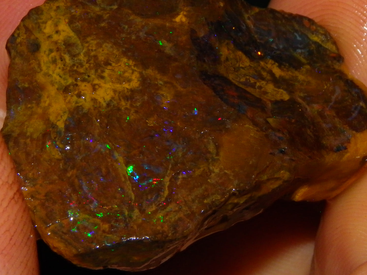 Nice Queensland Matrix Opal Parcel 310cts red/Green/Blue Fires Ironstones