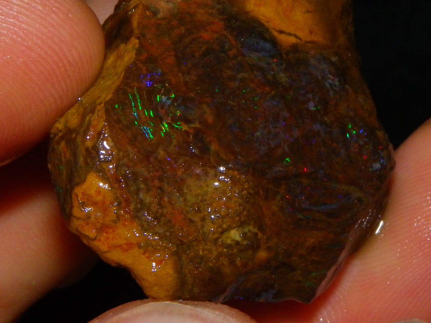 Nice Queensland Matrix Opal Parcel 310cts red/Green/Blue Fires Ironstones