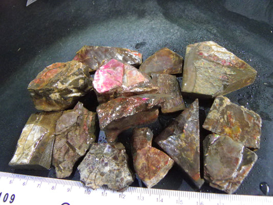 Larger Ammolite Rough Specimens Parcel 1350cts Some Red/Green/Gold Colours