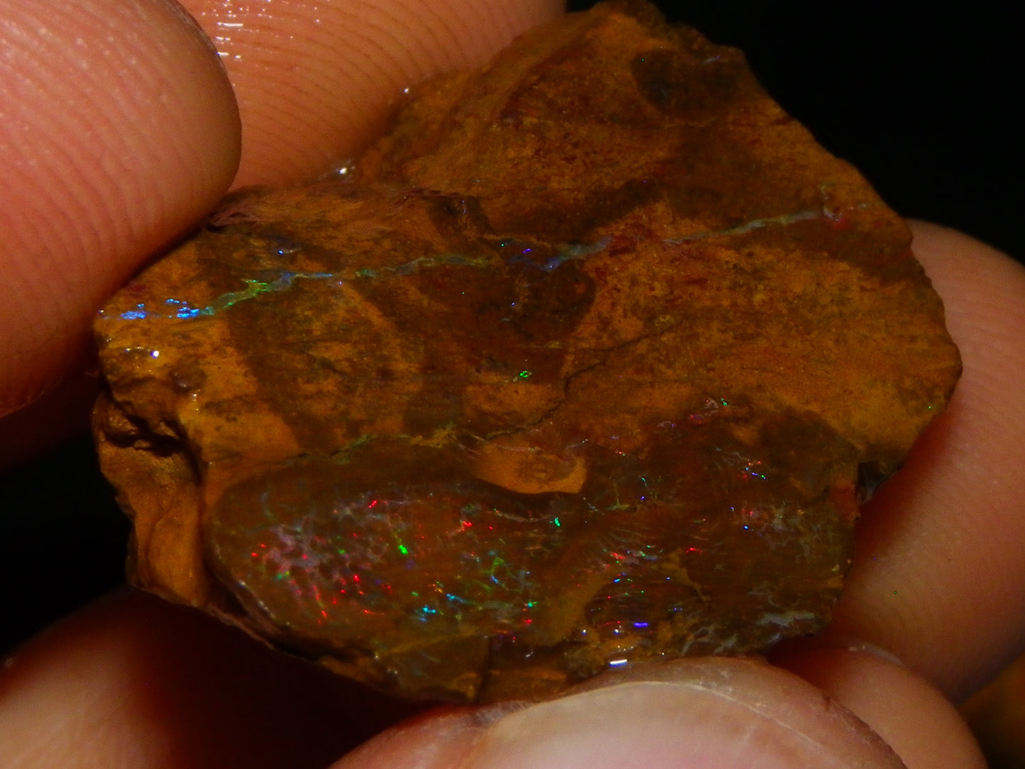 Nice Queensland Matrix Opal Parcel 310cts red/Green/Blue Fires Ironstones