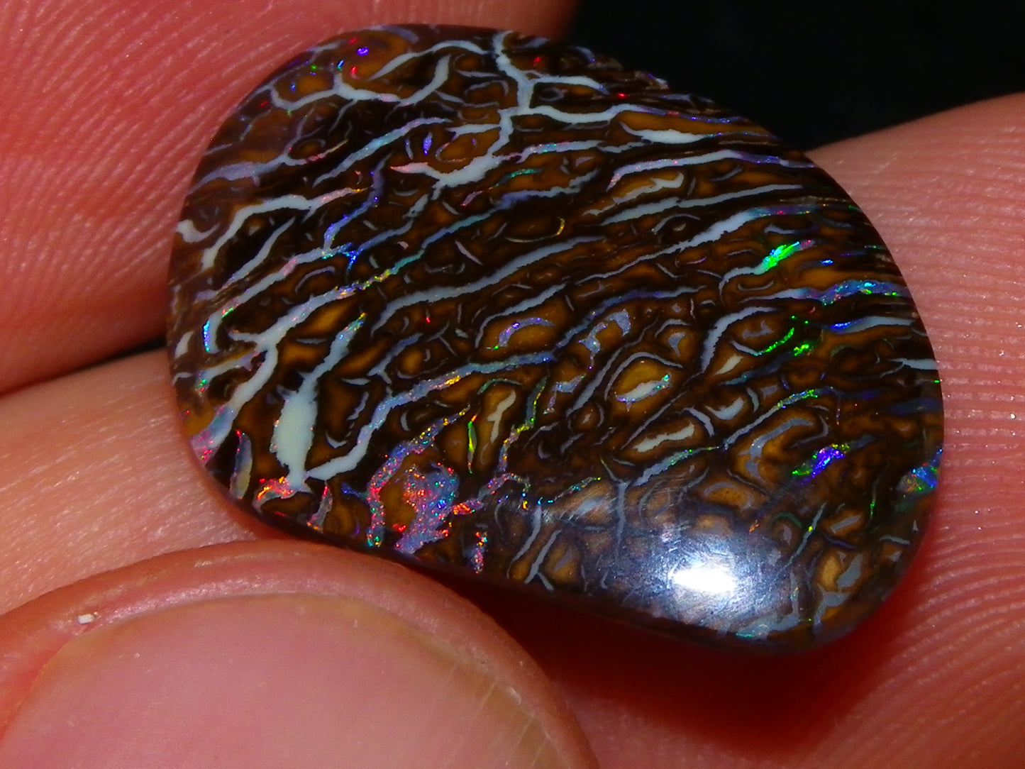 Superb Cut/Polished Koroit Opal Cab 12.6cts Patterns/Fires Red/Greens Qld Au