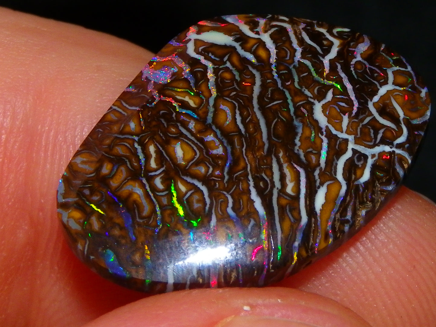 Superb Cut/Polished Koroit Opal Cab 12.6cts Patterns/Fires Red/Greens Qld Au