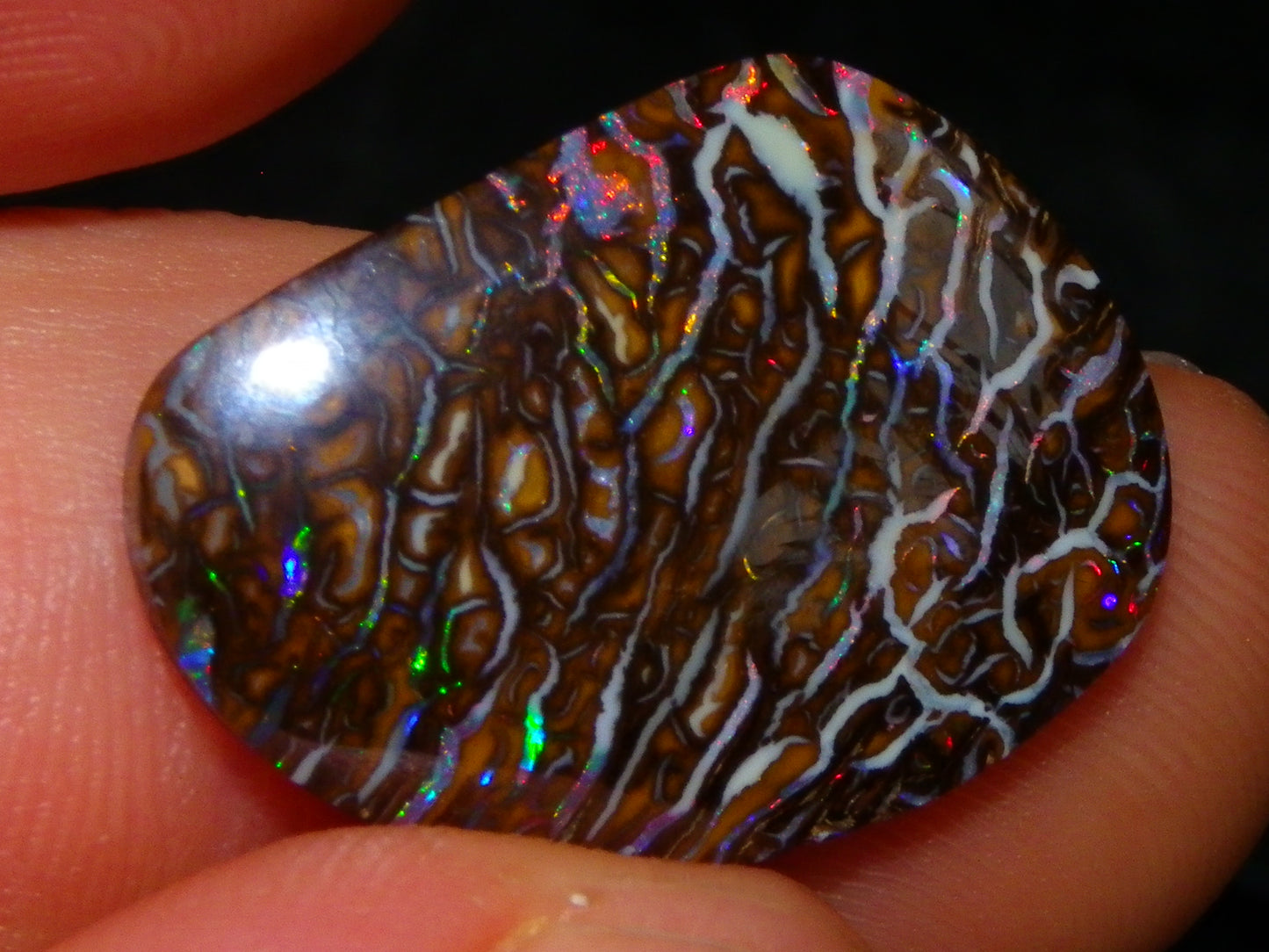 Superb Cut/Polished Koroit Opal Cab 12.6cts Patterns/Fires Red/Greens Qld Au