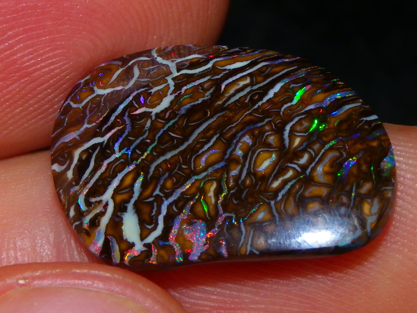 Superb Cut/Polished Koroit Opal Cab 12.6cts Patterns/Fires Red/Greens Qld Au