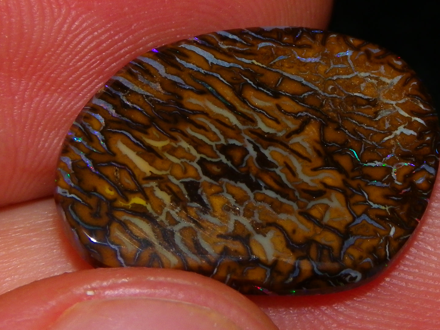 Superb Cut/Polished Koroit Opal Cab 12.6cts Patterns/Fires Red/Greens Qld Au