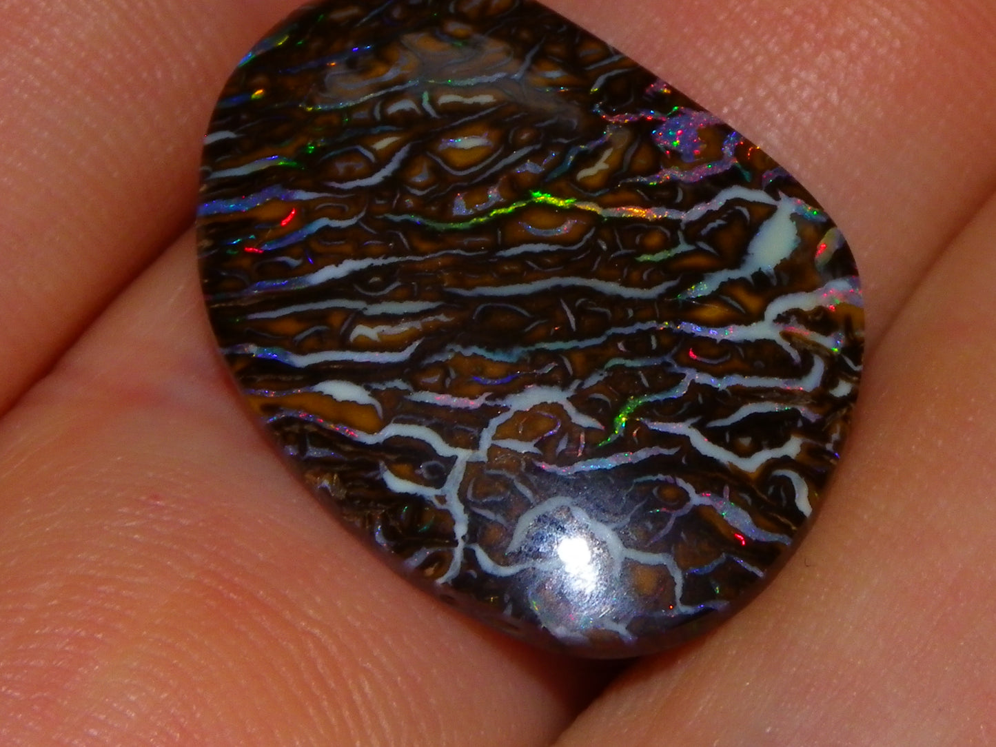 Superb Cut/Polished Koroit Opal Cab 12.6cts Patterns/Fires Red/Greens Qld Au