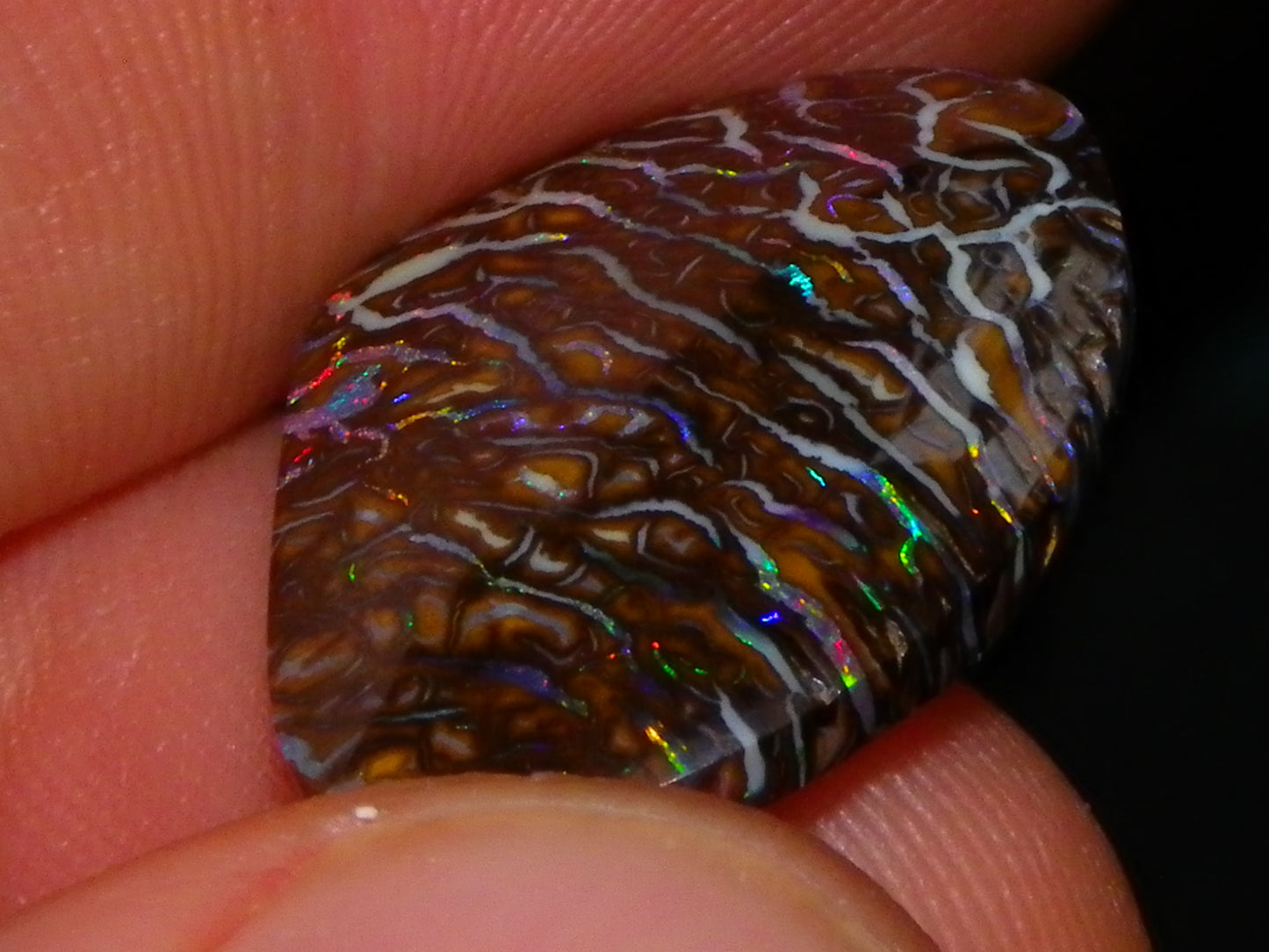 Superb Cut/Polished Koroit Opal Cab 12.6cts Patterns/Fires Red/Greens Qld Au