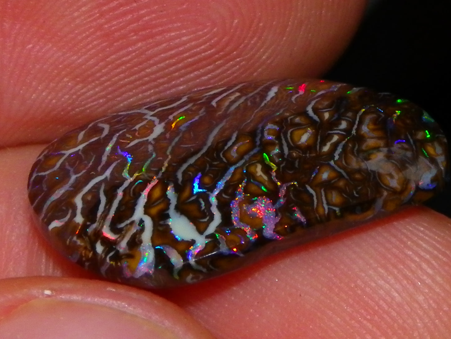 Superb Cut/Polished Koroit Opal Cab 12.6cts Patterns/Fires Red/Greens Qld Au