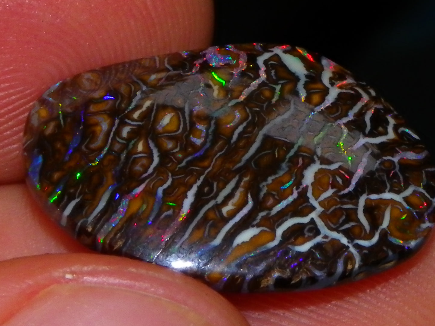 Superb Cut/Polished Koroit Opal Cab 12.6cts Patterns/Fires Red/Greens Qld Au