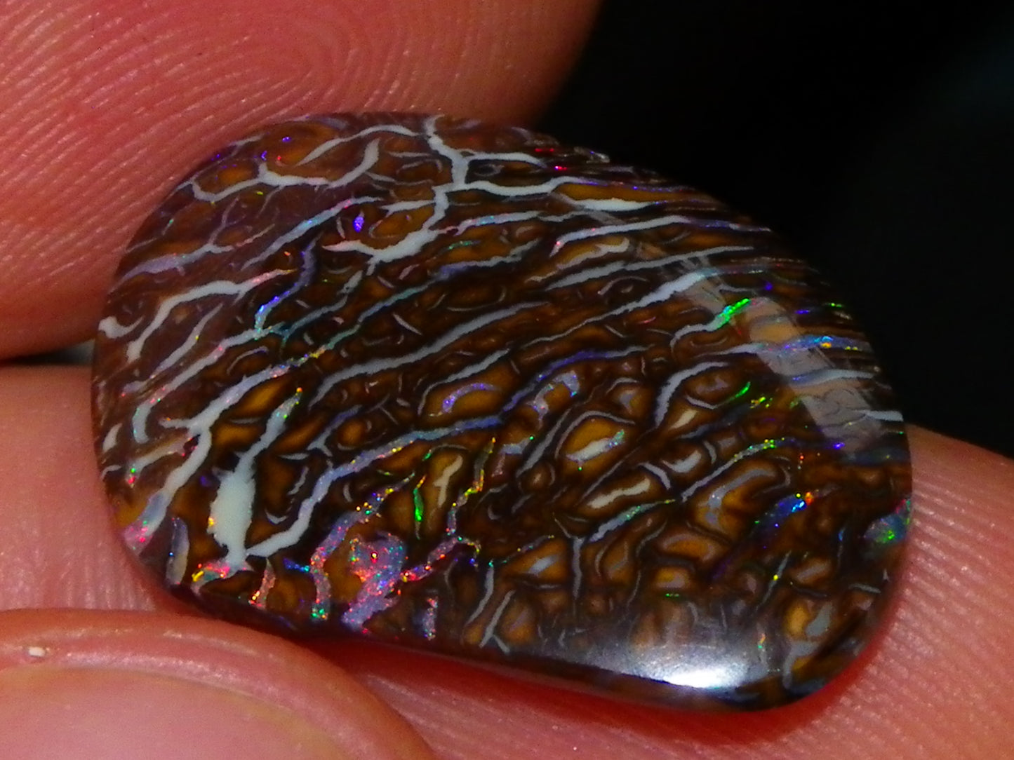 Superb Cut/Polished Koroit Opal Cab 12.6cts Patterns/Fires Red/Greens Qld Au