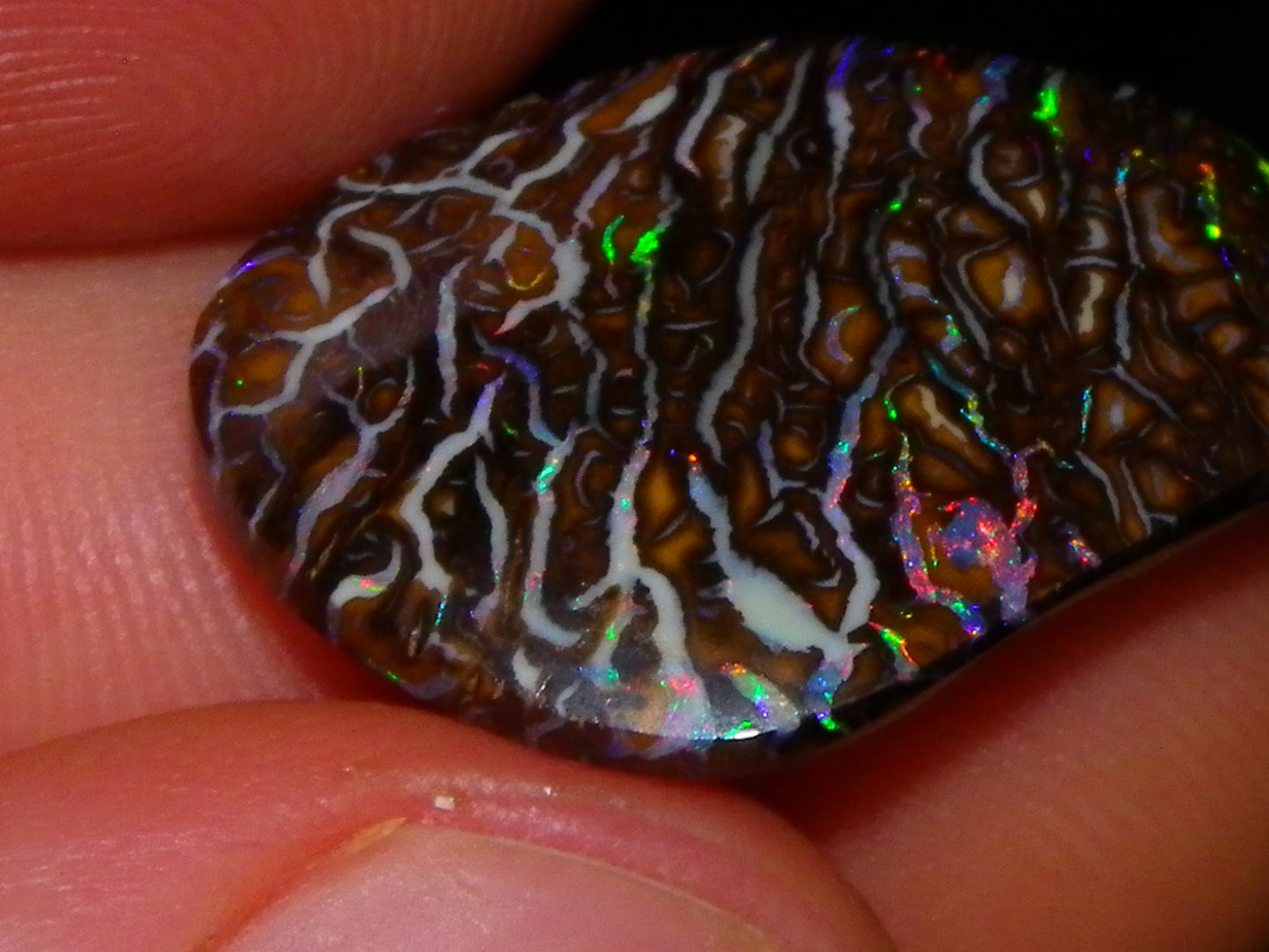 Superb Cut/Polished Koroit Opal Cab 12.6cts Patterns/Fires Red/Greens Qld Au