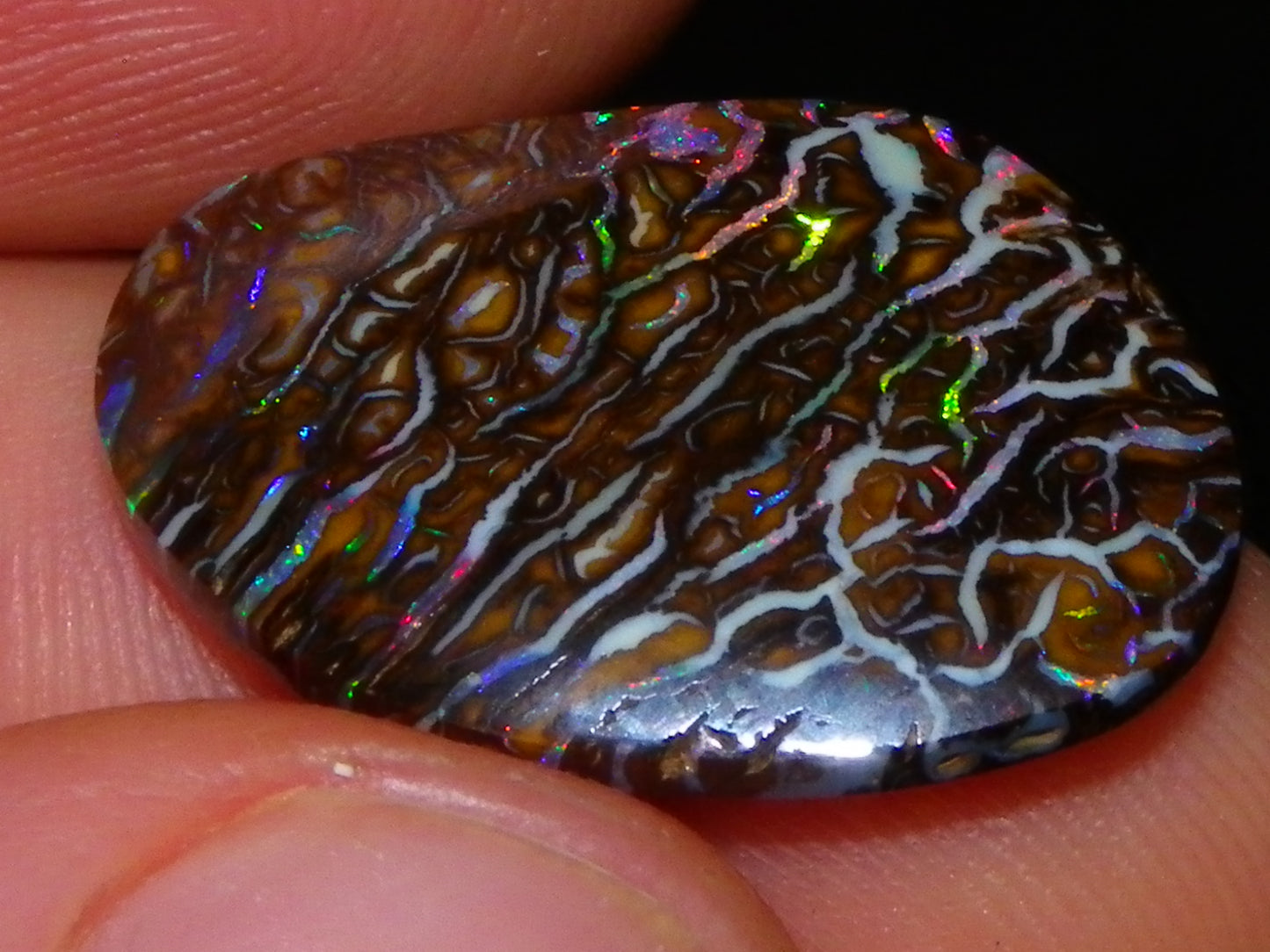 Superb Cut/Polished Koroit Opal Cab 12.6cts Patterns/Fires Red/Greens Qld Au