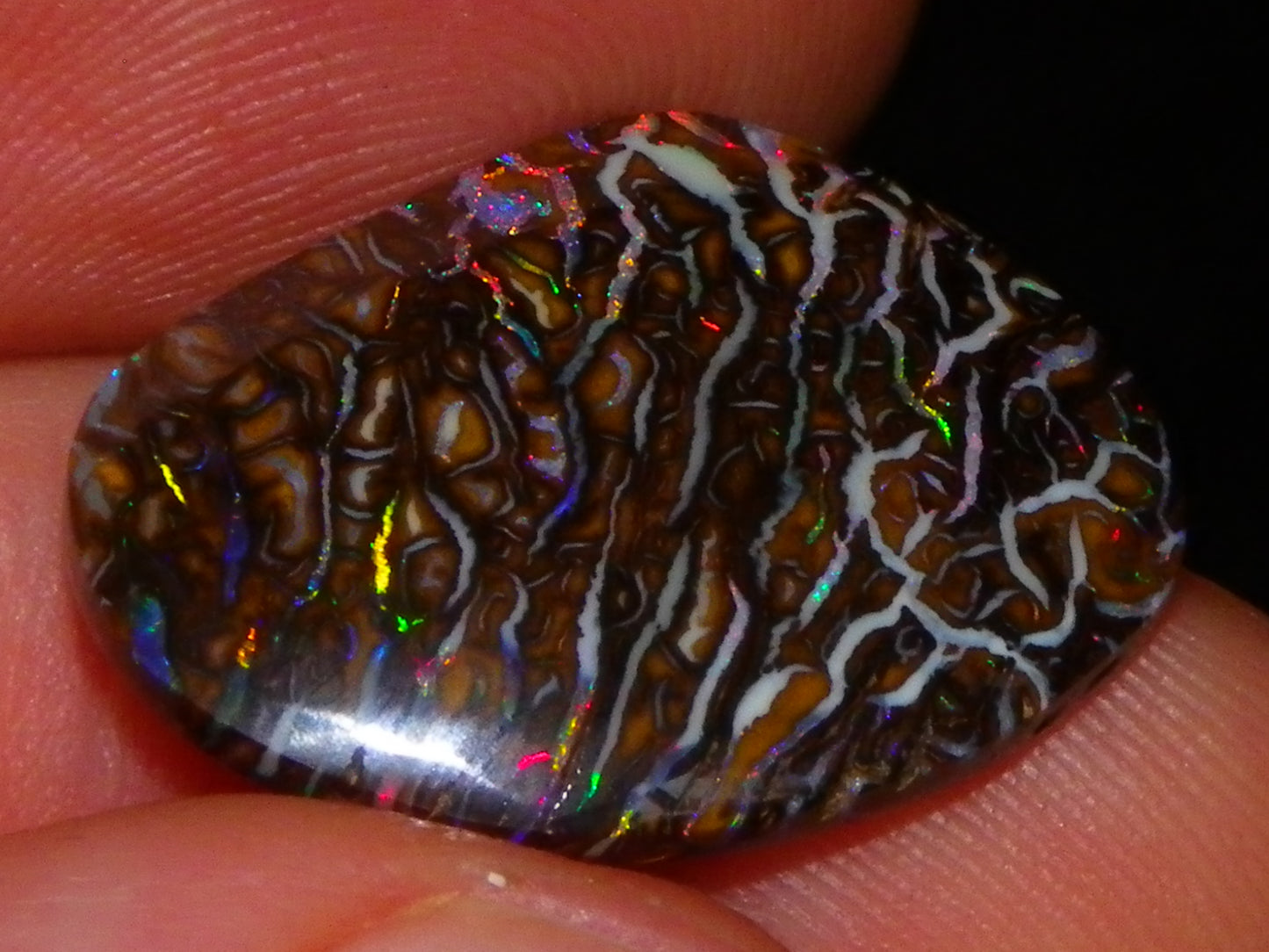 Superb Cut/Polished Koroit Opal Cab 12.6cts Patterns/Fires Red/Greens Qld Au