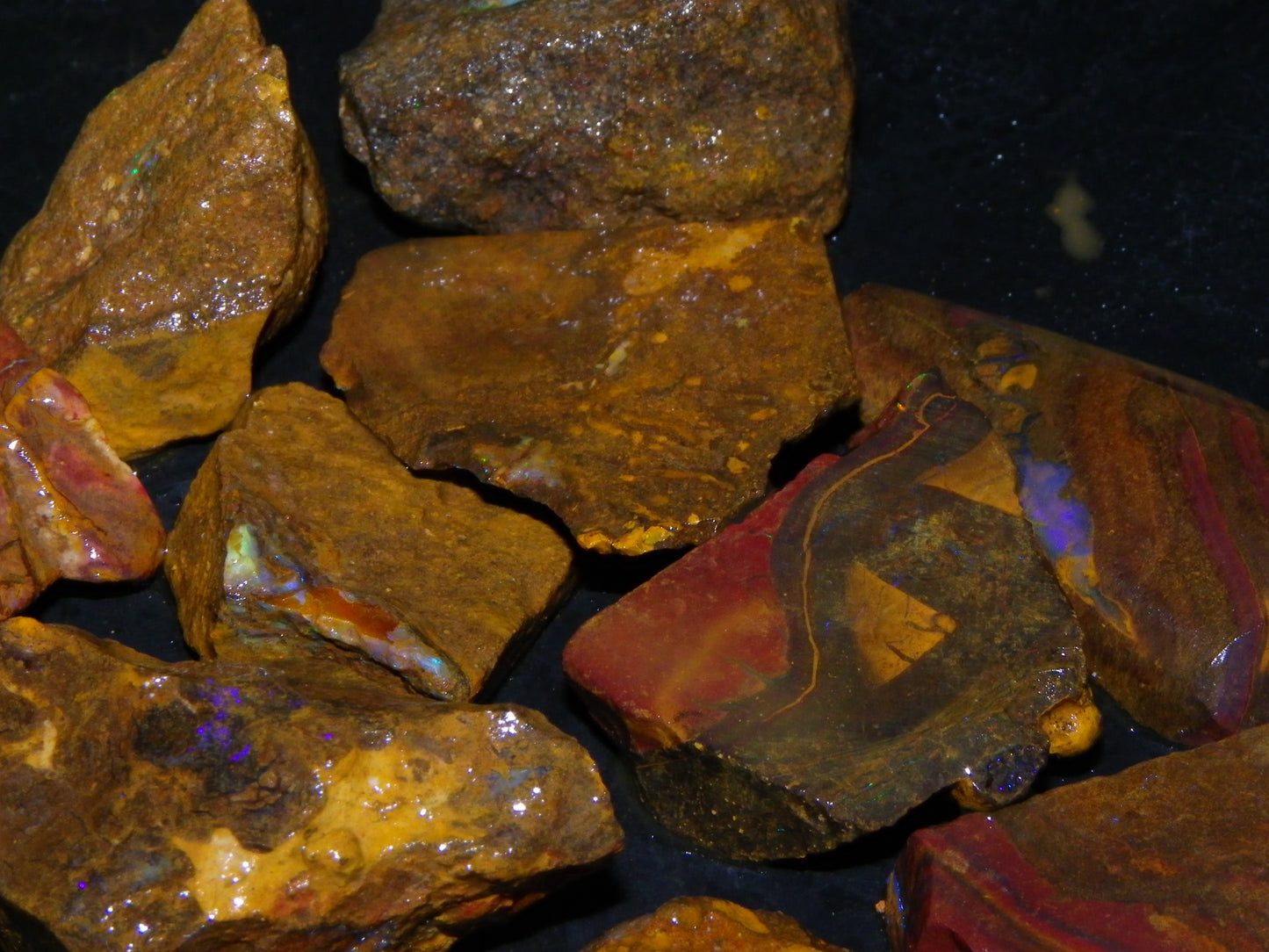 Queensland Boulder Opal Rough/sliced Parcel 1593cts some Patterns/Fires :)