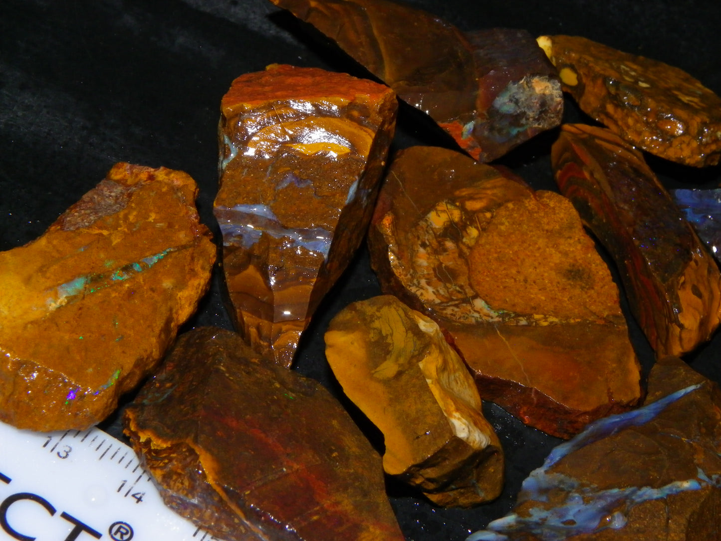 Queensland Boulder Opal Rough/sliced Parcel 1593cts some Patterns/Fires :)