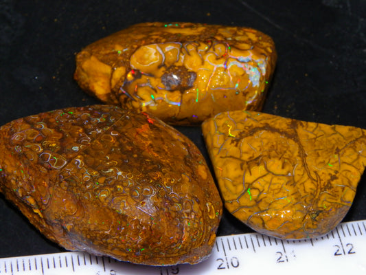 3 Nice Rubbed/Rough Koroit Opals 240cts Patterns/Fires Red/Orange/Greens Qld Au