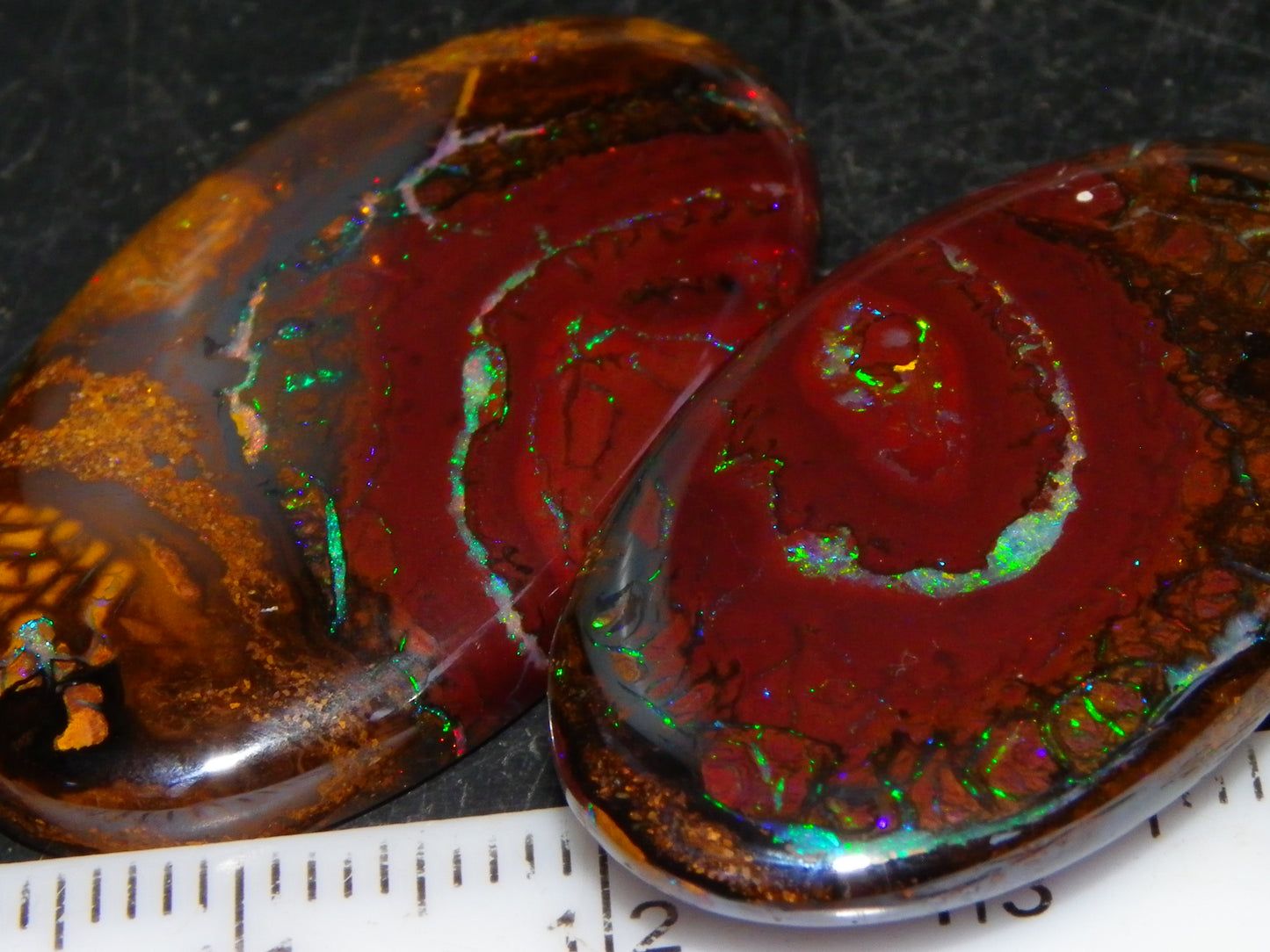 3 Quality Koroit Opal Cabs/Freeforms set 90.81cts Nut/Pattern Fires double sided