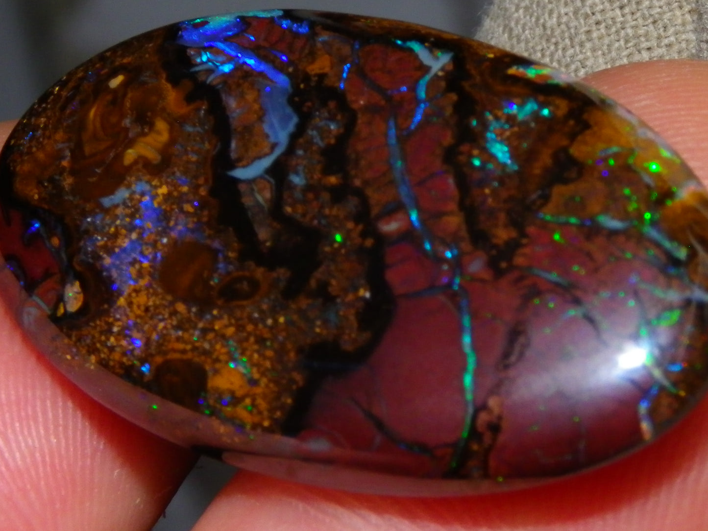 3 Quality Koroit Opal Cabs/Freeforms set 90.81cts Nut/Pattern Fires double sided